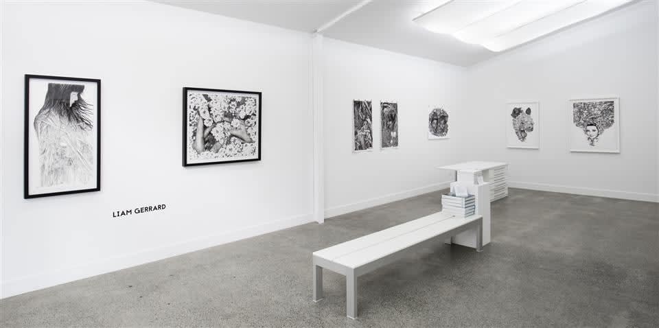 Liam Gerrard, New Work, Installation View, 2016