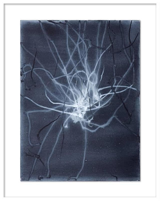 Anita Levering, Trail 005, 2015