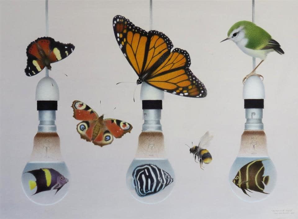 Paul Martinson, Patterned Light, 2015