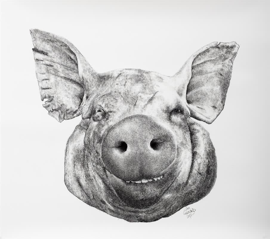 Liam Gerrard, Pig #1, 2012