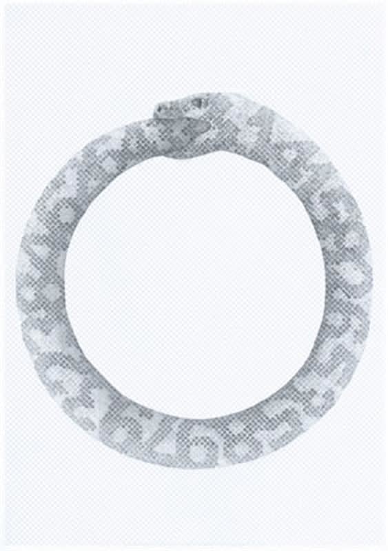 James R Ford, Snake Pi Cycle, 2011