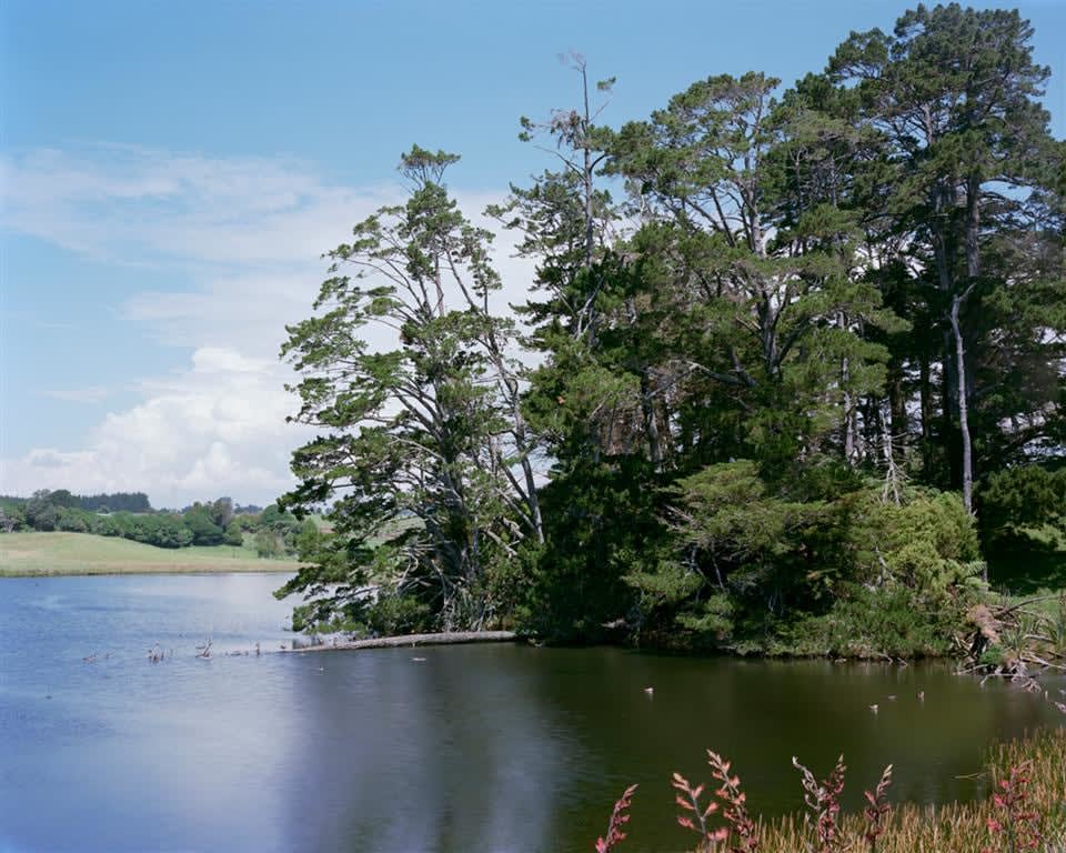 Kevin Capon, Barrett's Lagoon, 2013