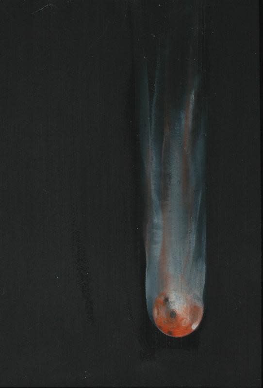 Josephine Cachemaille, Goner, 2010