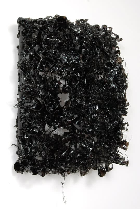 Maryann Pennington, Earth, 2008