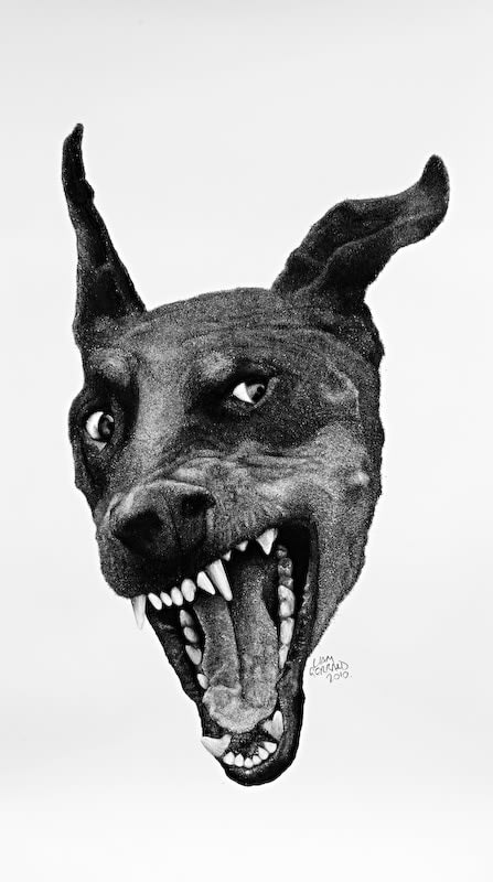 Liam Gerrard, Doberman, 2010