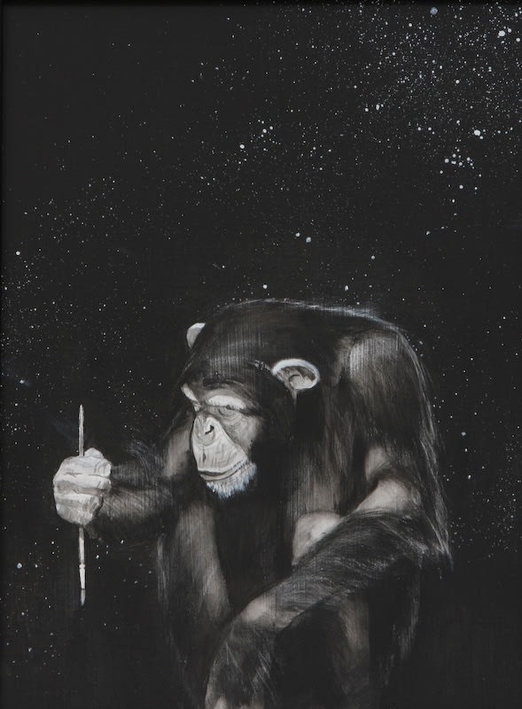 Josephine Cachemaille, Primate II, 2008