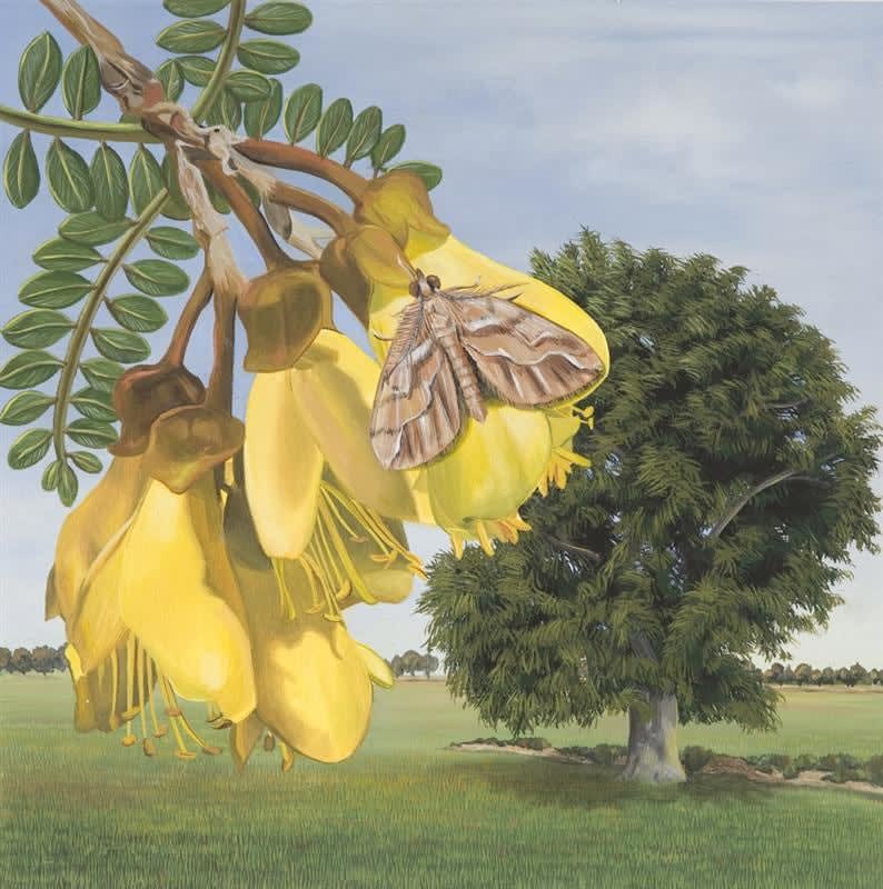 Candi Dentice, Companion, 2010