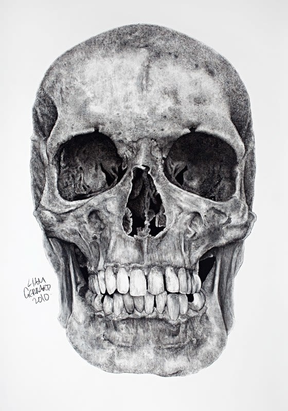 Liam Gerrard, Skull, 2010