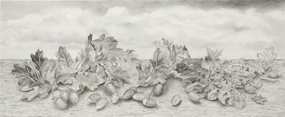 Candi Dentice, Seasons, 2011