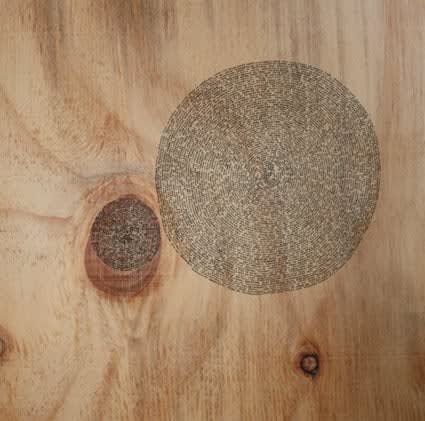 Clare Kim, Untitled (plywood III), 2010