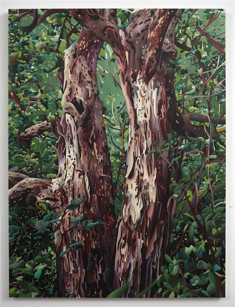 Paris Kirby, Puriri, 2017