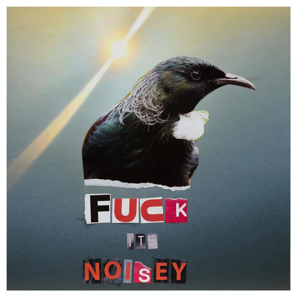 Teresa Hr Lane, Fuck It's Noisey, 2020