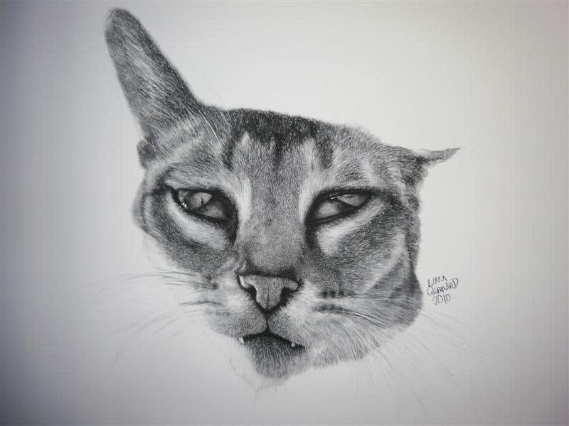 Liam Gerrard, Livvi II, 2010