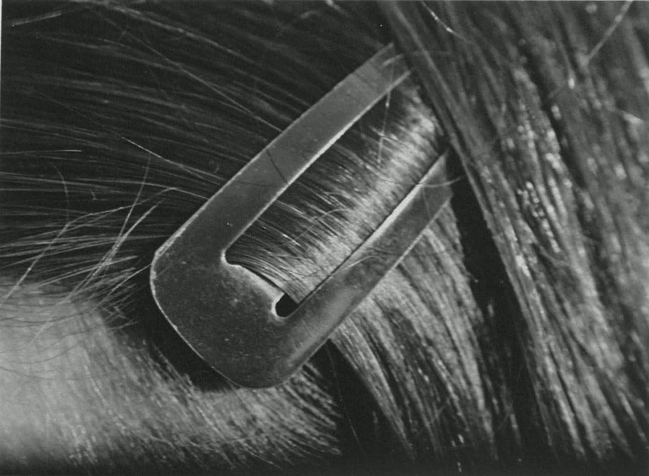 Kevin Capon, Hair clip, 2013