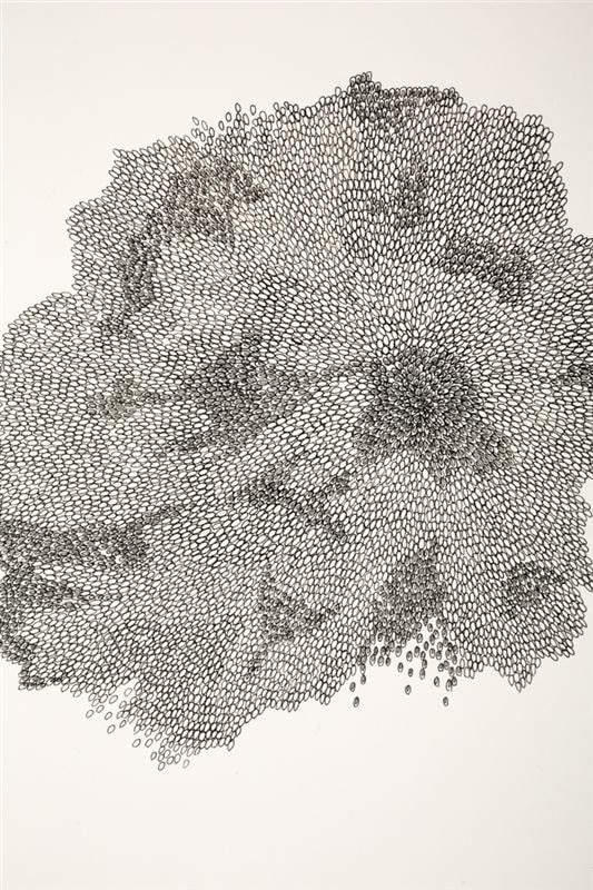 Alexandra Odelle, Drawing 112 (detail), 2013