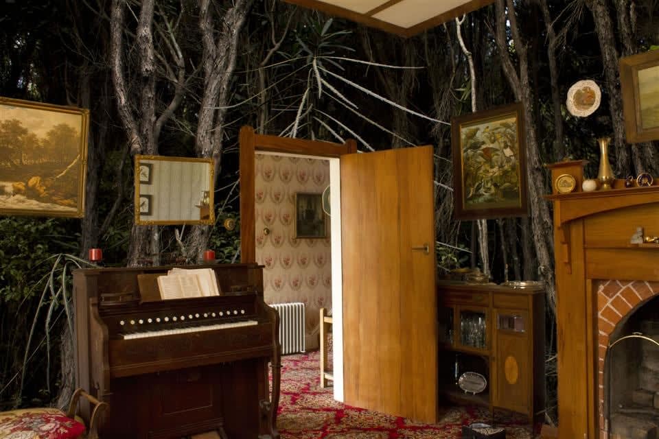 Jane Zusters, Seaward Bush Interior, 2011