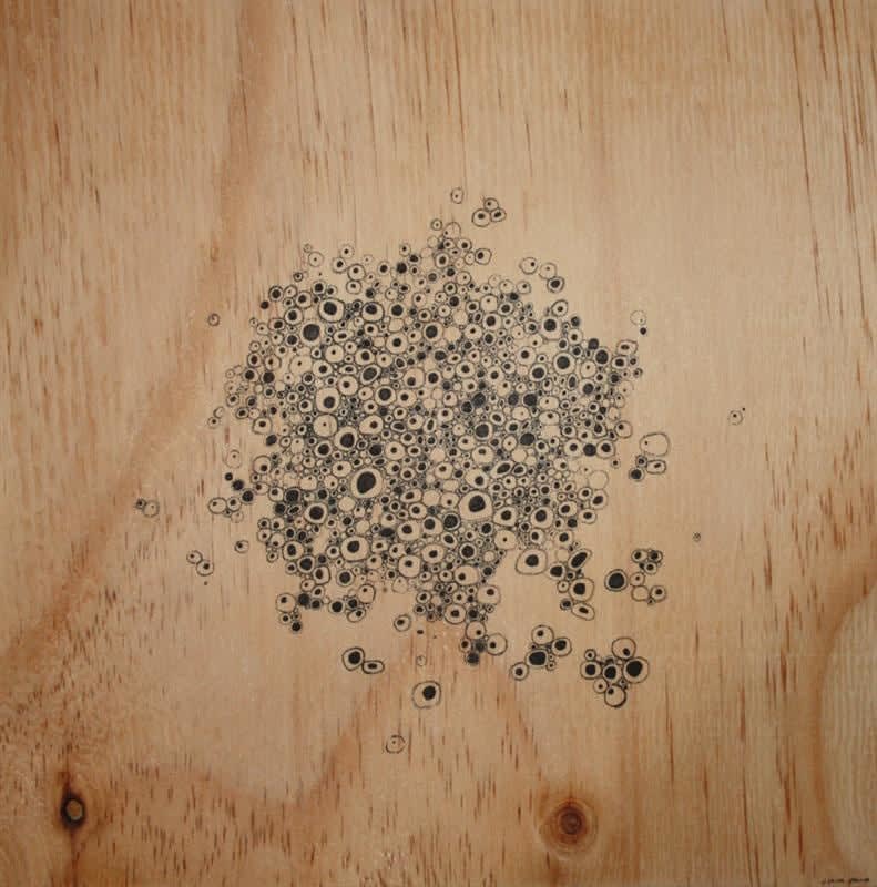 Clare Kim, Untitled (plywood IV), 2010