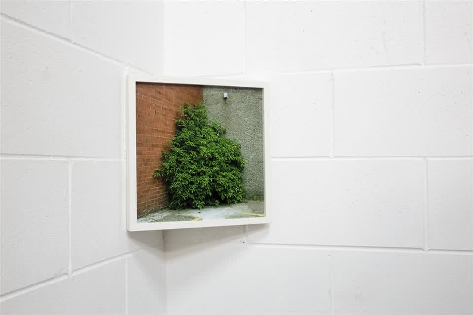 Sam Hartnett, Corner #1, 2014