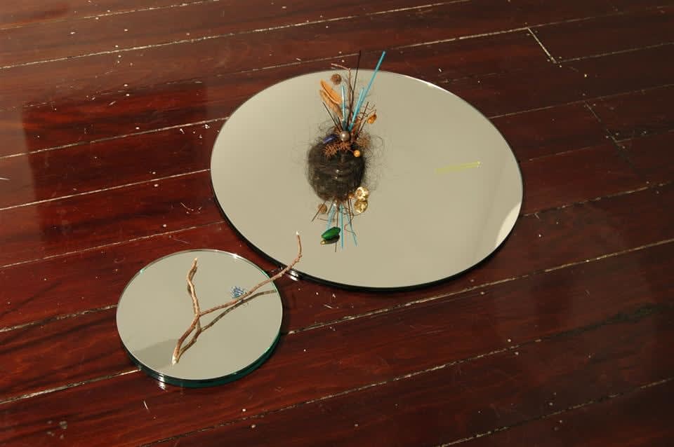 Cruz Jimenez, Subverted Flower 2, 2007