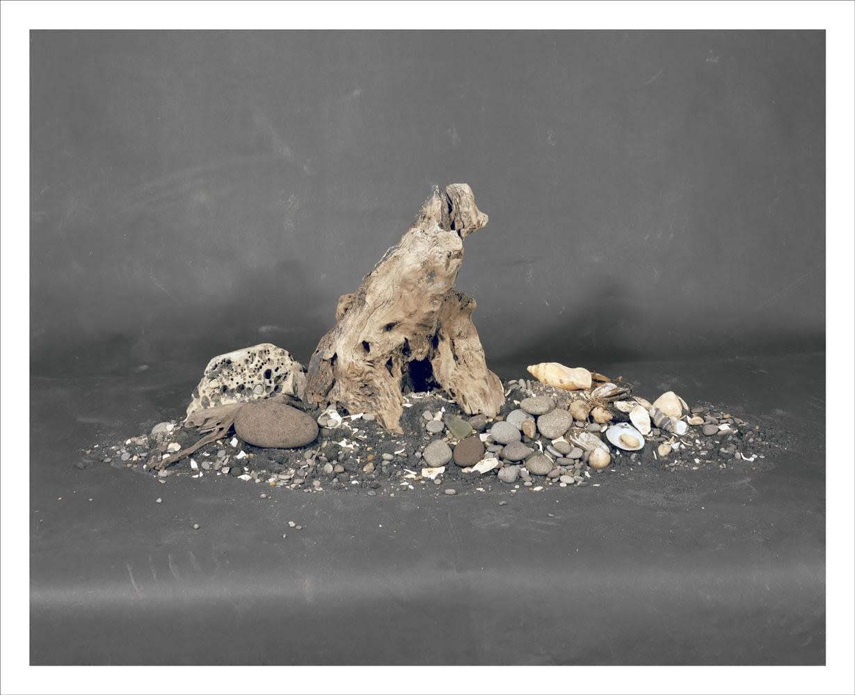 Kevin Capon, Black sand, rocks, shells and driftwood arrangement, Mokau, 2017