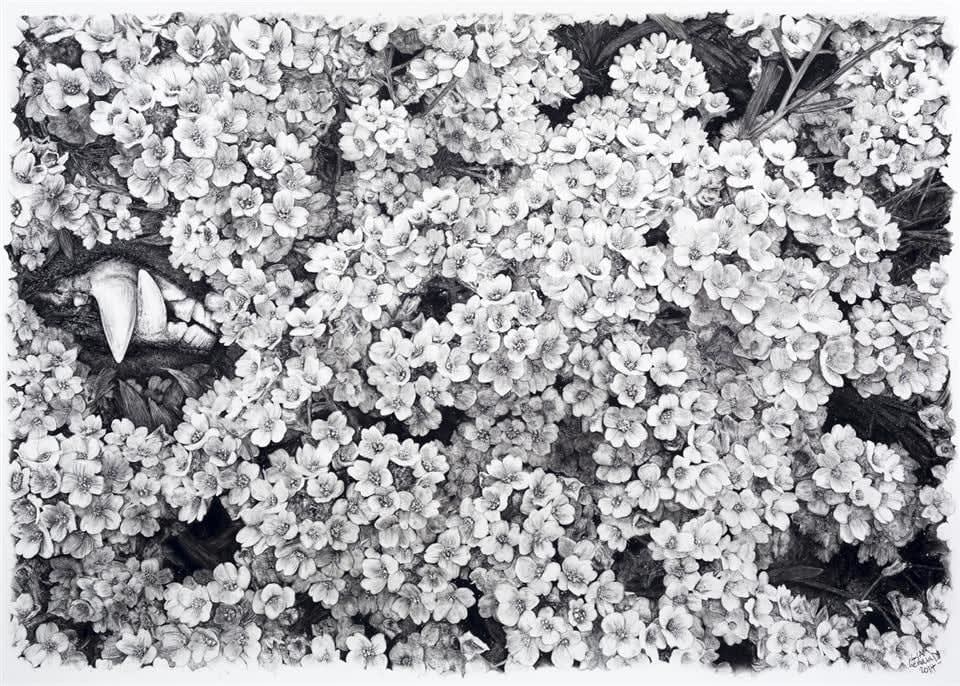 Liam Gerrard, Untitled (Teeth), 2015
