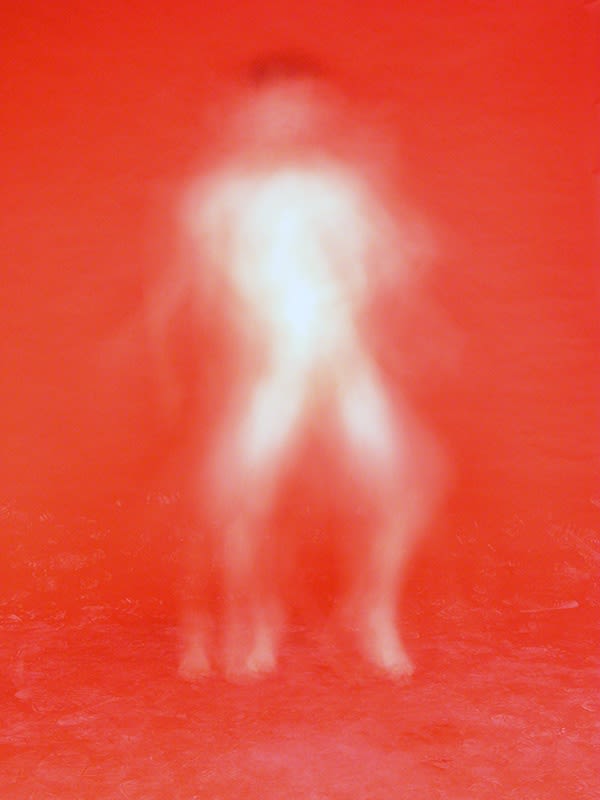 Young Sun Han, Ghost Complex 5, 2013