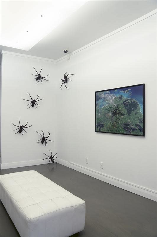 Brit Bunkley, No Phobia installation view, 2013