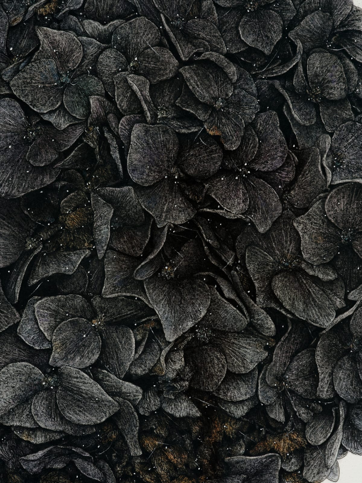 Liam Gerrard, Hopetui Road, Kaimarama, 2025