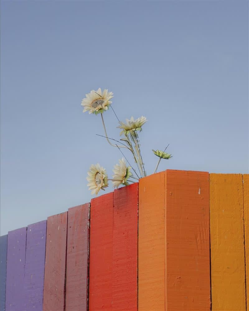 Scott Cai, Rosebank 2, 2023