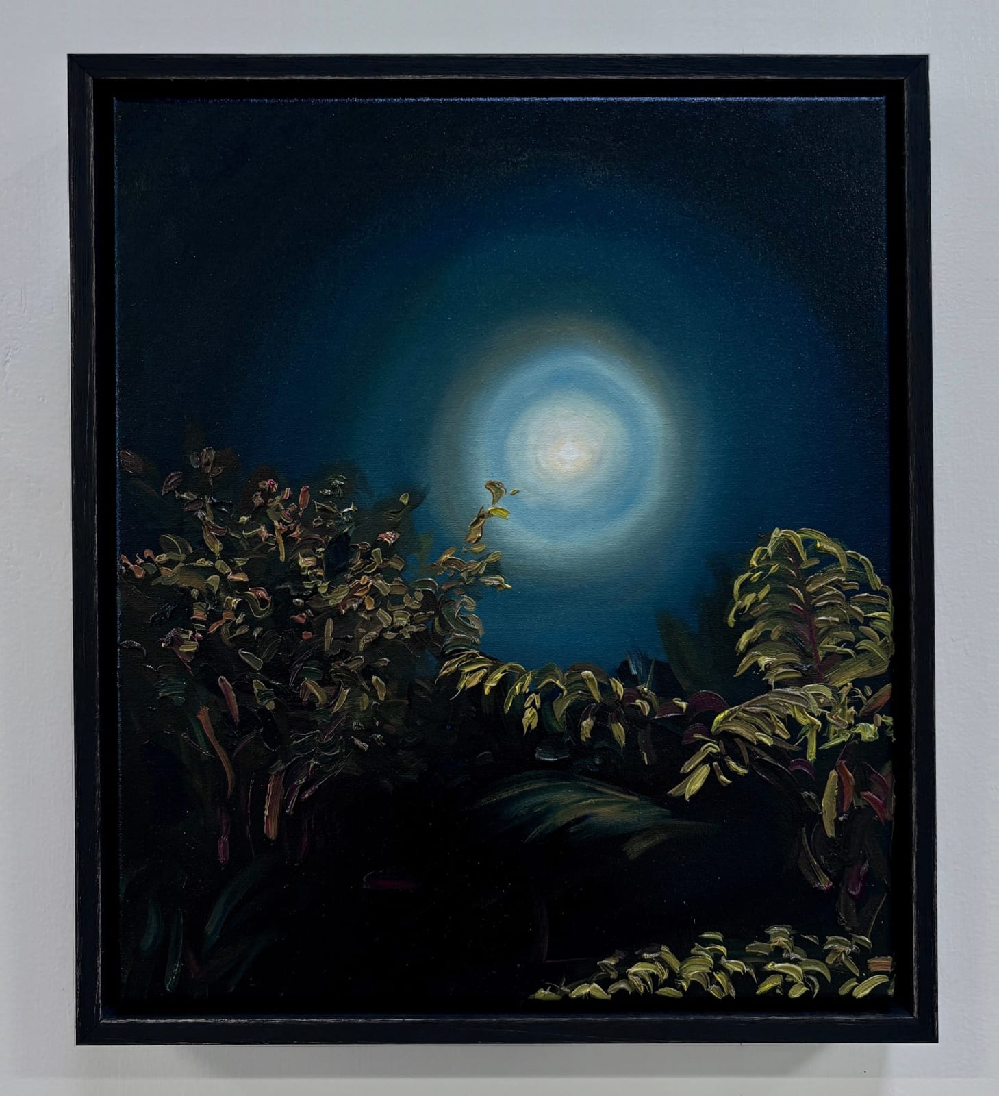 Molly Timmins, Moonlit Ponga (A Painted Love Letter for Te Marama), 2025