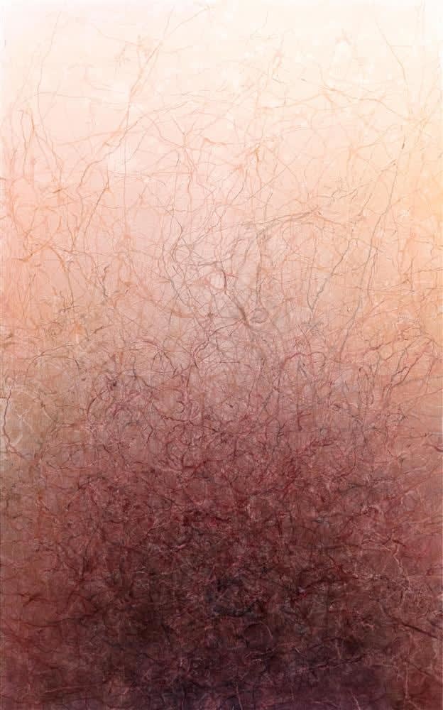 Anita Levering, 647 - Vermigraph, 2016