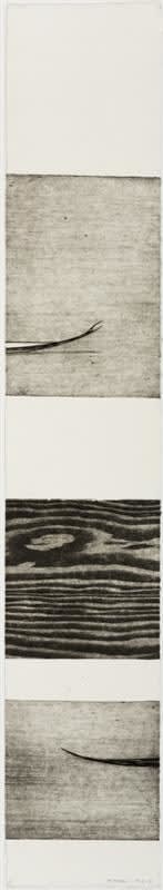 Simon Kaan, Scroll IV, 2014