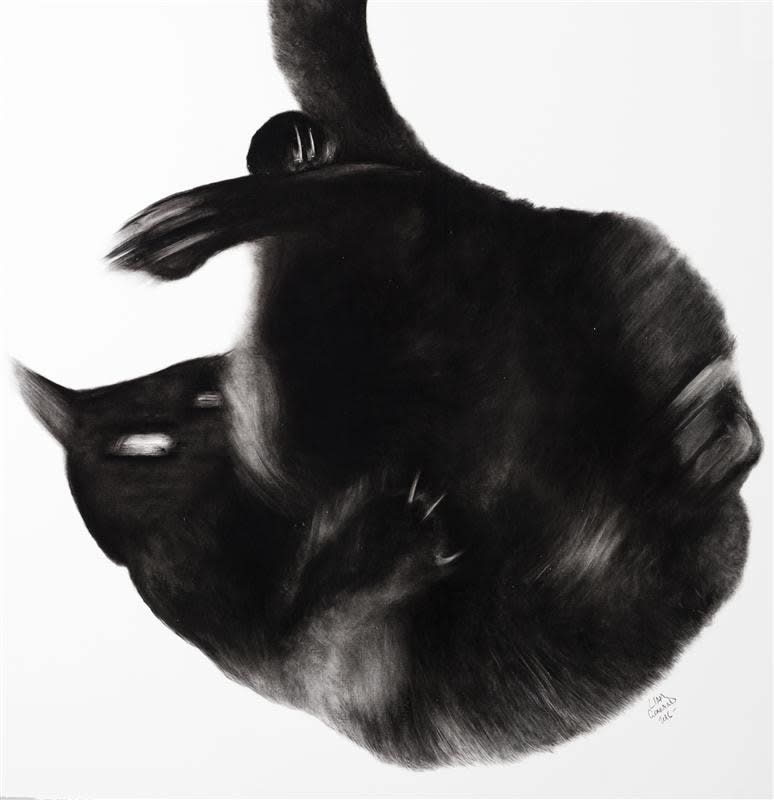 Liam Gerrard, Leroy Tumbling, 2016