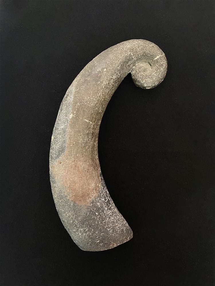 Wi Taepa, Ponga, 1995