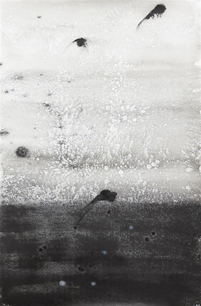Cruz Jimenez, Meadow, 2017