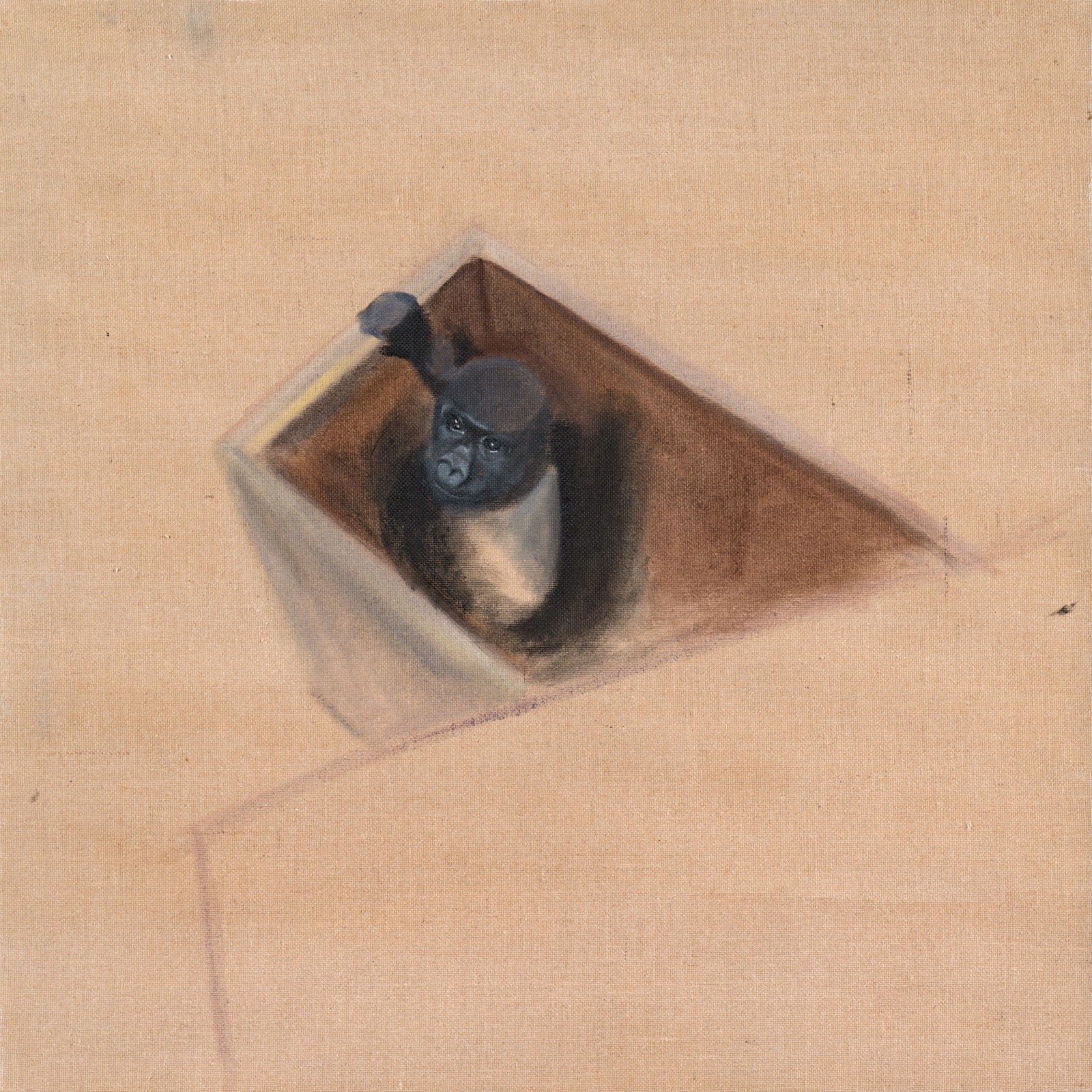 Emma Kathleen Hepburn Ferrer (Italy/US), A Monkey in a T-Shirt, 2025