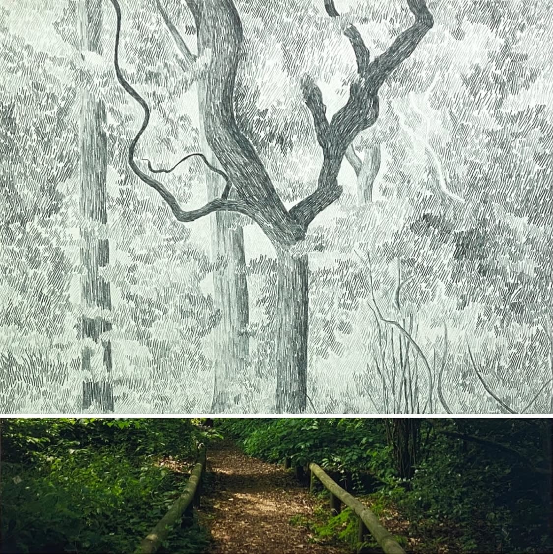 Gabriela Albergaria (Portugal/Belgium), Brooklyn Botanical Garden 278, 2025
