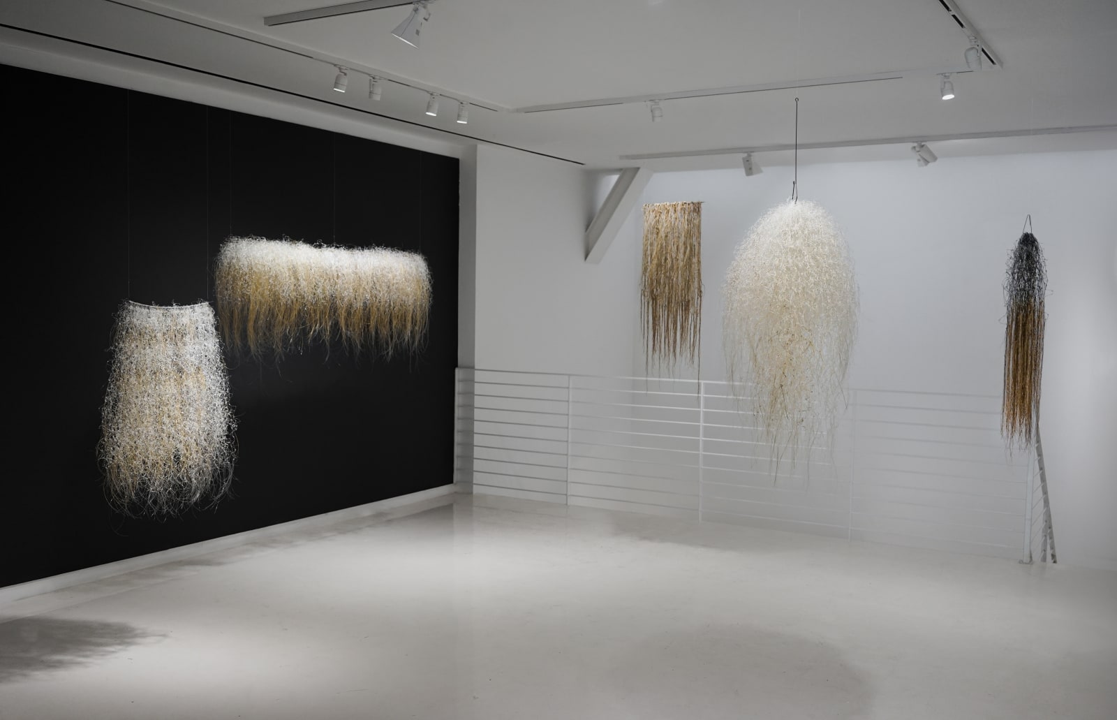 Yvonne Pacanovsky Bobrowicz, Cosmic Series Linear, 2008