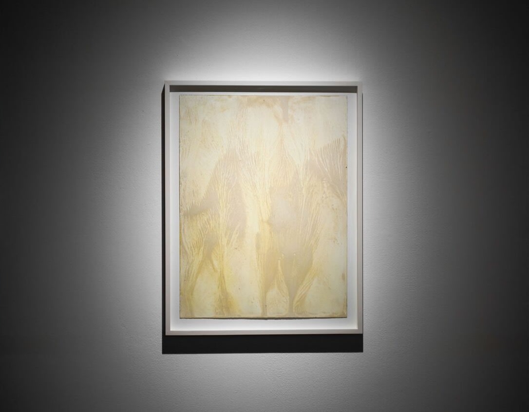 Shinji Turner-Yamamoto (Japan/US), Sidereal Silence: Irish Study #37, 2015