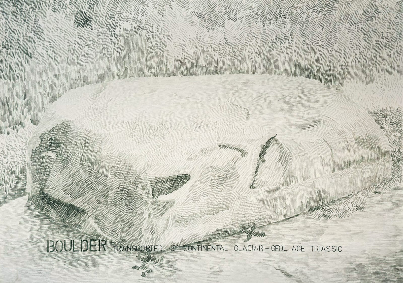 Gabriela Albergaria (Portugal/Belgium), Boulder transported by continental glacier- Triassic, Brooklyn Botanic #2, 2025