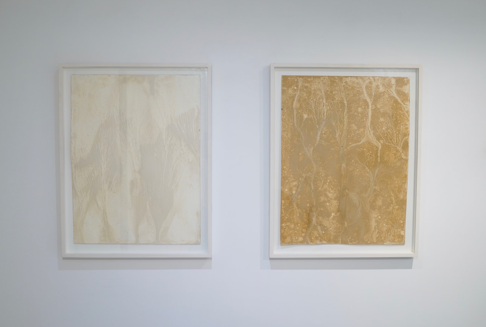 Shinji Turner-Yamamoto (Japan/US), Sidereal Silence: Irish Study #37, 2015