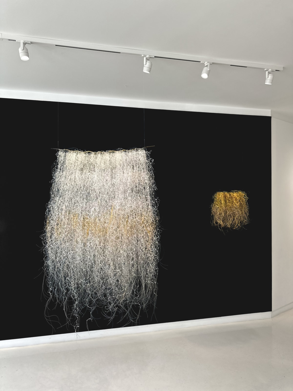 Yvonne Pacanovsky Bobrowicz, Cosmic Series , 2005