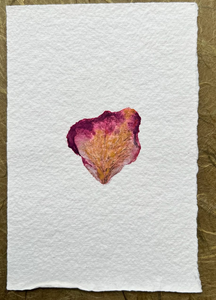 Bilgé (Turkey/US), Double Rose Petals Book, 1978