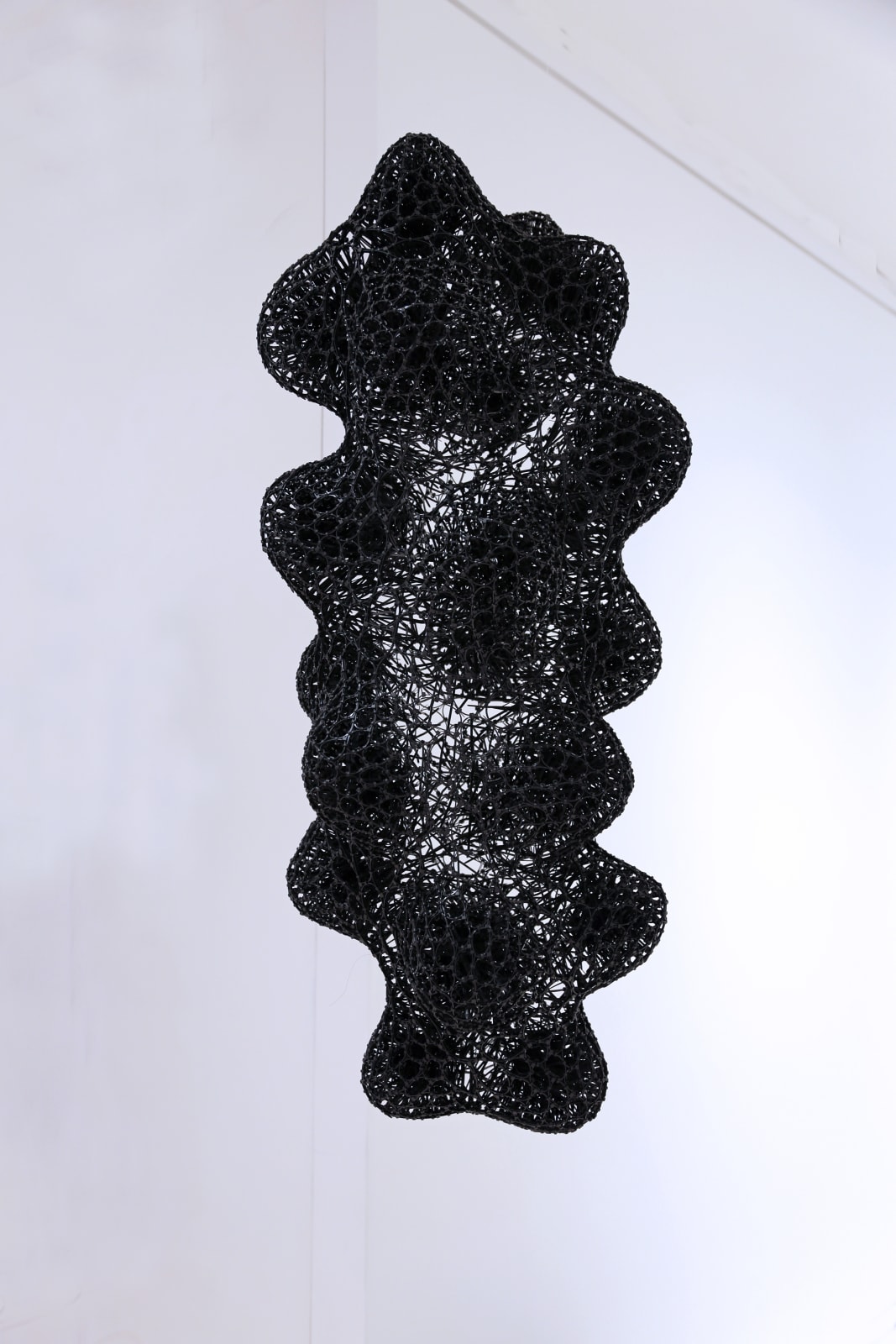 Sui Park (Korea/US), Molecule , 2021