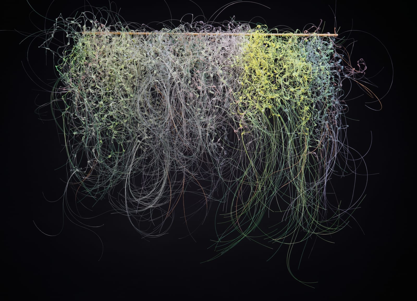 Yvonne Pacanovsky Bobrowicz, Cosmic Series Green, 2012