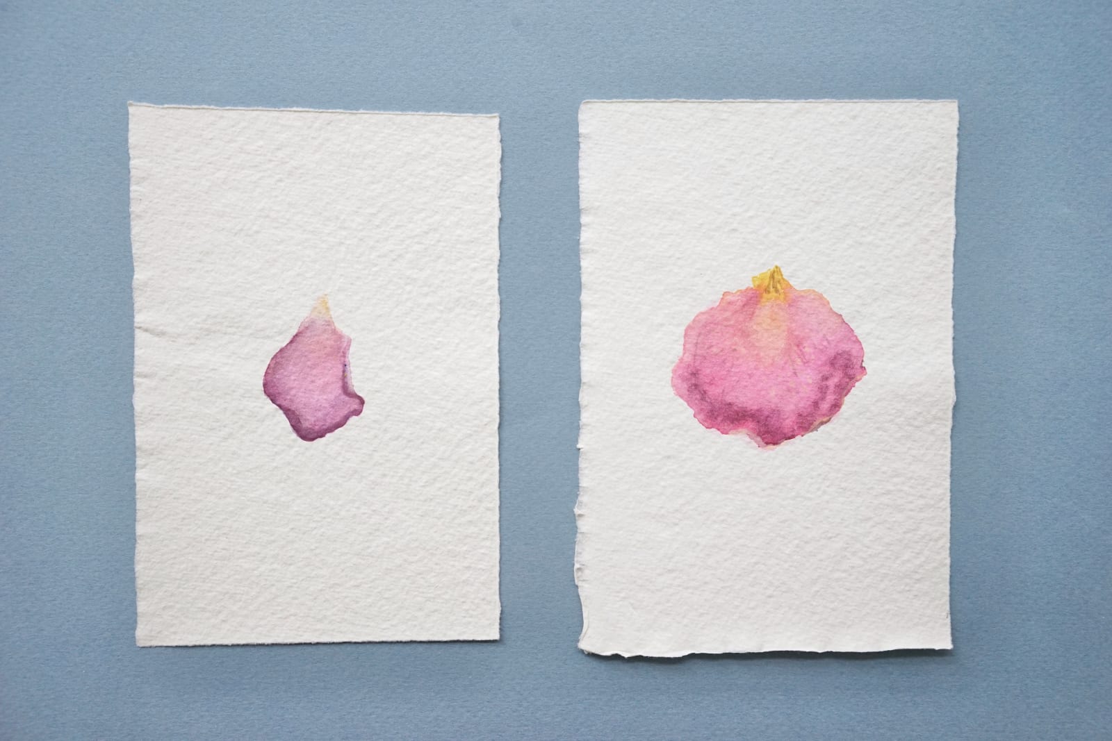 Bilgé (Turkey/US), Double Rose Petals Book, 1978