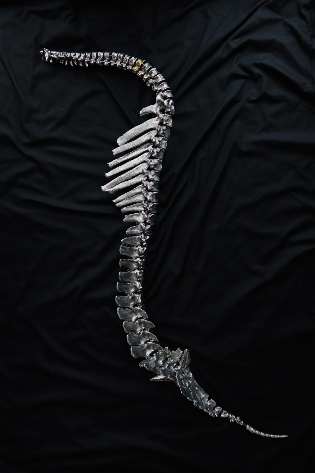 Aya Shalkar (Kazakhstan/US), ARQA - The Spine