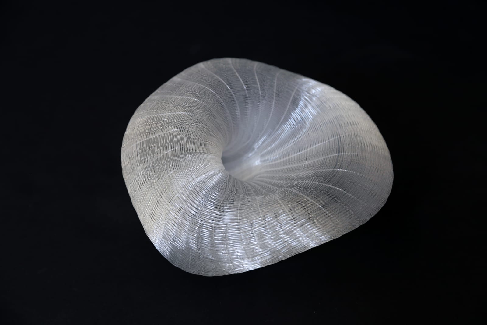 Sui Park (Korea/US), Bloom , 2021