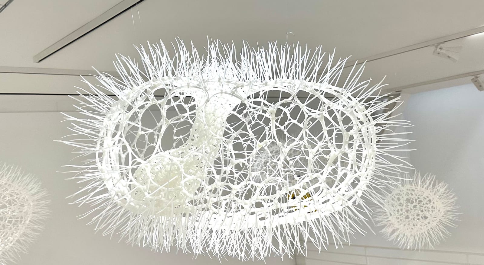 Sui Park (Korea/US), Wiggling , 2023