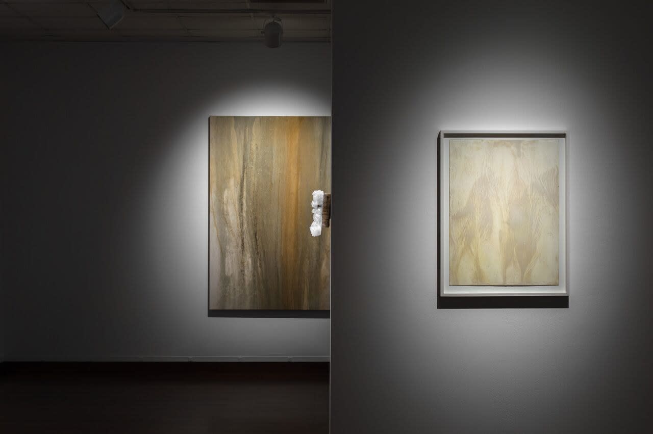Shinji Turner-Yamamoto (Japan/US), Sidereal Silence: Irish Study #37, 2015